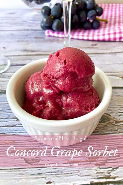 Orange Sherbet Recipe, Pomegranate Sorbet, Mixed Berry Sorbet, Fat Free Desserts, Homemade Sorbet, Sherbet Recipes, Sorbet Is, Sorbet Recipe, Lime Sorbet