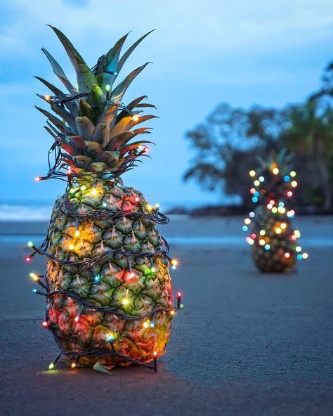 For tropical Christmas and Holiday decor Christmas Luau, Tropical Christmas Decorations, Tiki Christmas, Christmas Coconut, Christmas Tropical, Greek Christmas, Pineapple Christmas, Hot Christmas, Hawaii Christmas