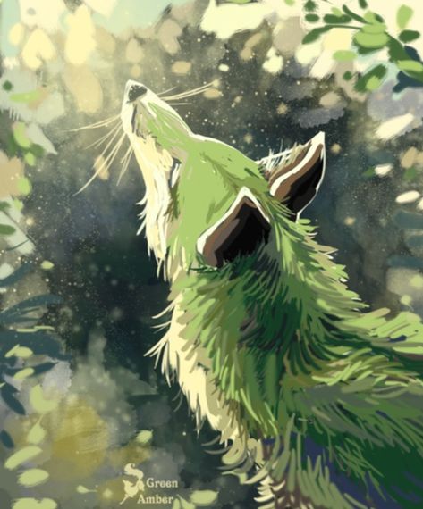 Giant Fox Art, Green Fox Aesthetic, Green Fox Art, Hell Hounds, Fox Artwork, Fox Images, Grass Type, Canine Art, Music Artwork