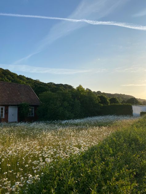 Meg March, Grassy Meadow, Painting Reference, Dream Future, Chasing Dreams, Pretty Landscapes, Random Pictures, English Countryside, Reference Photos