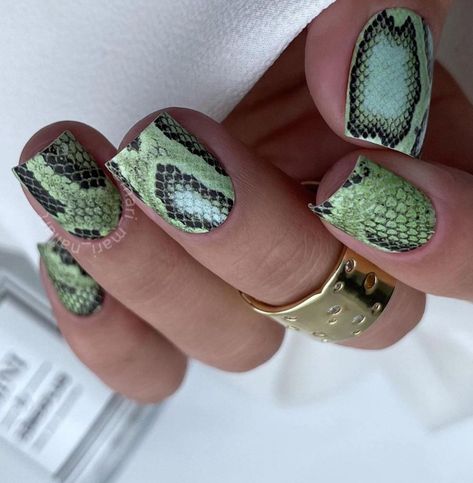 Green Snake Nails, Snake Nail, Finger Nail Art, Print Nails, Nail Stuff, Animal Print Nails, Nail Envy, Stamping Nail Art, Stylish Nails