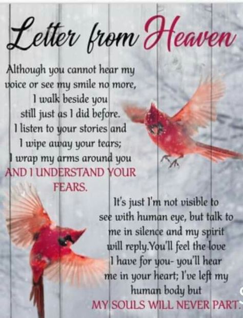 People In Heaven Quotes, Cardinal Poem, Inspiring People Quotes, Dad In Heaven Quotes, Bereavement Quotes, Mom In Heaven Quotes, Miss You Mom Quotes, As I Sit In Heaven, In Loving Memory Quotes