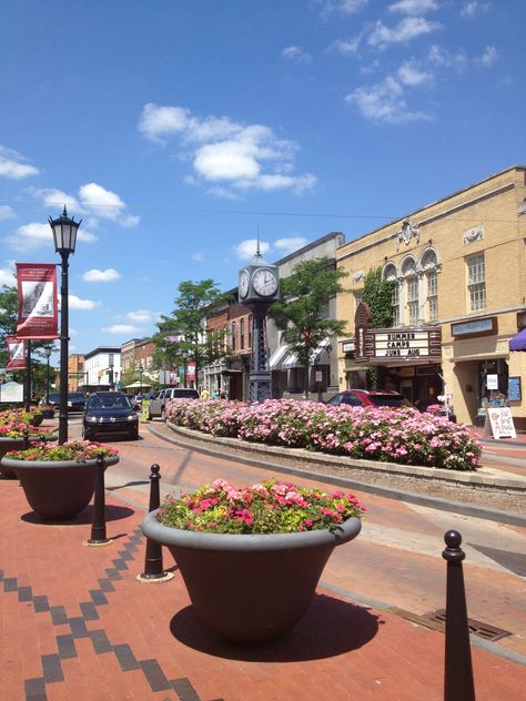 Downtown Northville Northville Michigan, Pure Michigan, Summer 24, Small Town, Small Towns, Michigan, University, Architecture, Collage