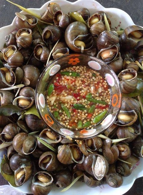 Steam snail.. Fruit Bowl Ideas, Snails Recipe, Foods From Around The World, Cambodian Food, Laos Food, Khmer Food, Thai Foods, Bizarre Foods, Bowl Ideas