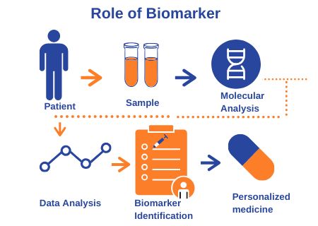 To develop precision medicine, the need to identify various disease stages of the patients is facilitated by biomarkers. In this new era, biomarkers are mostly focused on genetics, specifically, they are molecules or genes or hormones. Precision Medicine, Personalized Medicine, Data Analysis, First Step, New Era, Disease, Medicine, Health, Quick Saves