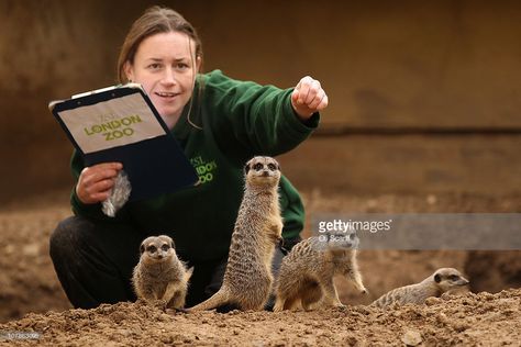 Zoo Keeper Aesthetic, Animal Keeper, Veterinarians Medicine, Job Aesthetic, 2 Animals, Future Aesthetic, Animal Learning, Animal Encounters, Wildlife Biologist