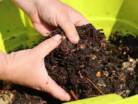 Why You Should Add Epsom Salt to Your Compost Pile Tropical Greenhouses, Dome Greenhouse, Epson Salt, Compost Pile, Composting Process, Worm Composting, Farm Living, Worm Farm, Gardening Diy