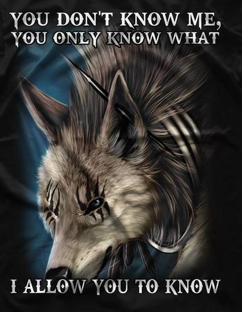 You don't know me | Wolf quotes, Cute animal quotes, Animal quotes Wolf Pack Quotes, Inspirational Animal Quotes, Lone Wolf Quotes, Viking Quotes, Cute Animal Quotes, Quotes Cute, Wolf Artwork, Wolf Painting, Fantasy Wolf