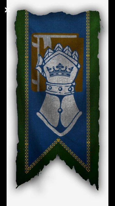 Kingdom Banner, Medieval Banner, Human Base, Heraldry Design, Fantasy Wizard, Heroic Fantasy, Pathfinder Rpg, 다크 판타지, Flag Art