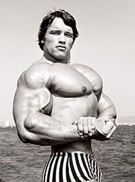 31 Arnold-Approved Training Tips - Bodybuilding.com Arnold Schwarzenegger Chest Workout, Killer Chest Workout, Women Wellness, Weight Routine, Barbell Press, Arnold Schwarzenegger Bodybuilding, Workouts Outside, Schwarzenegger Bodybuilding, Bodybuilding Pictures