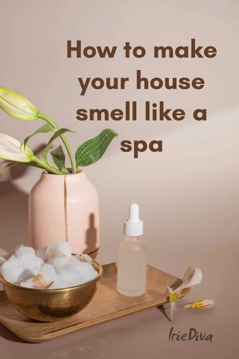 How to Make Your House Smell Like a Spa in One Easy Step Fresh House Smell, Clean House Smell, Best Smelling Essential Oils, Air Freshener Recipes, Bathroom Fragrance, Best Essential Oil Diffuser, Diy Fragrance, House Smell Good, Room Freshener