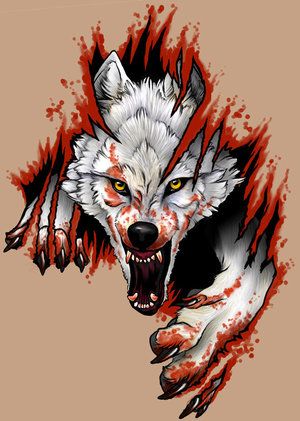 Wolf Tattoo, A Wolf, Phoenix Az, Phoenix, Paint, Red, White