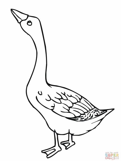 Goose Coloring Page Goose Clipart Cute, Goose Coloring Pages, Goose Drawing, Bamboo Shoot, Bird Coloring Pages, Coloring Page Ideas, Cat Coloring Page, Coloring Pages Printable, Page Ideas