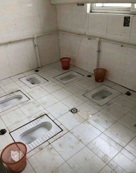 Toilet funny Toilette Design, Construction Fails, Bollywood Funny, Stay Blessed, Hilarious Humor, Be Crazy, Happy Friendship, Bathroom Plumbing, House Outside Design