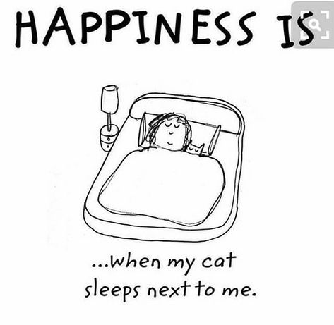 Woods Ideas, Cat People, Cat Quotes, Cat Sleeping, Cat Stuff, Grumpy Cat, Cats Meow, All About Cats, Happiness Is