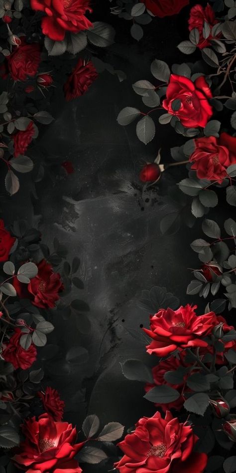 Black Background Graphic Design, Red And Black Background, Dark Red Roses, Gothic Wallpaper, Iphone Wallpaper Hd Nature, Beautiful Flowers Photos, Neutral Art, Iphone Wallpaper Themes, Edgy Wallpaper