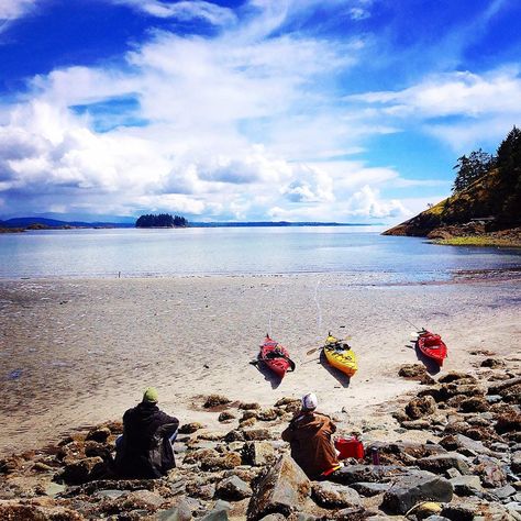 Quadra Island Bc, British Colombia, Discovery Island, Refreshing Water, Tourist Map, Kayak Trip, Island Map, Out Of The Woods, Tide Pools