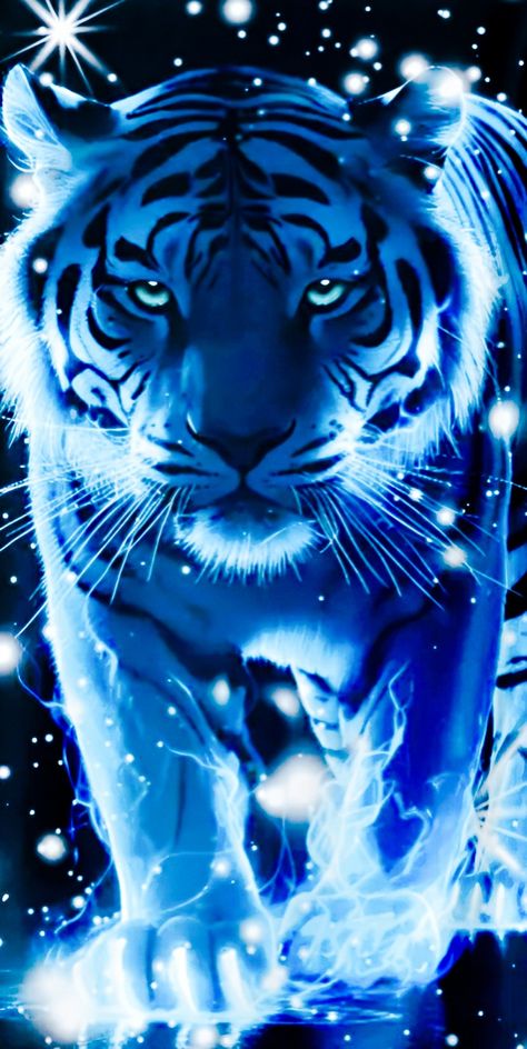 Blue Tiger Wallpaper, Beautiful Nature Photos, Tiger Spirit Animal, Tiger Images, Wild Animal Wallpaper, Tiger Artwork, World Nature, Tiger Wallpaper, Tiger Pictures