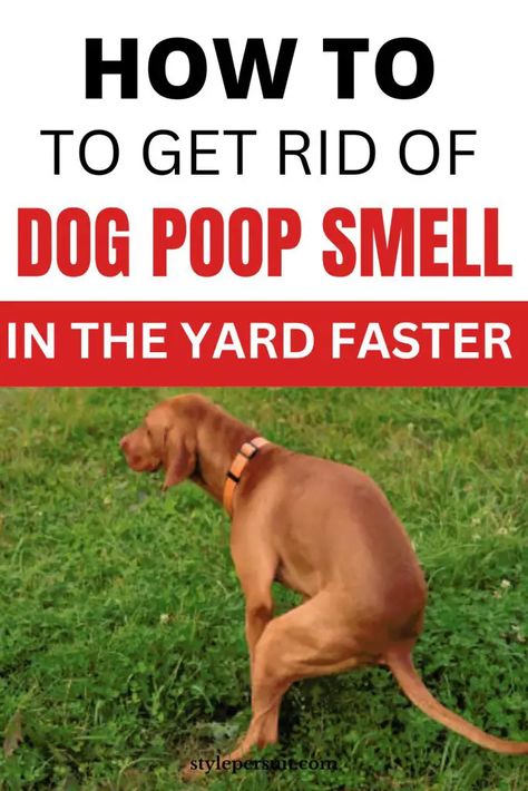 How To Get Rid Of Dog Poop Smell In Yard Get Rid Of Dog Pee Smell In Yard, Dog Pooping In House, Odor Eliminator Diy, Pooping Dog, Dog Pee Smell, Pee Smell, Smelly Dog, Stinky Dog, Get Rid Of Flies