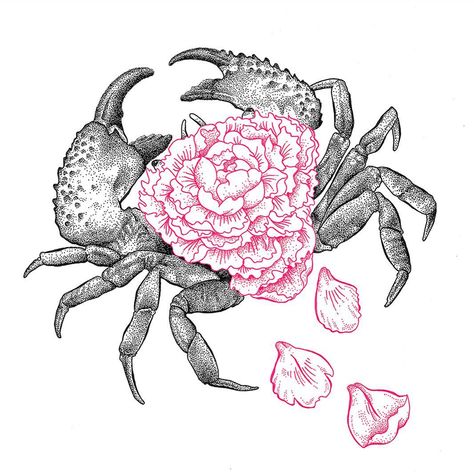 Margot Carrër on Instagram: “Little flowery crab.  #illustration #drawing #pointillism #crab #peony #blackandwhite #pink” Flower Crab, Crab Illustration, Crab Tattoo, Gcse Art, Tattoo Lettering, Illustration Drawing, Crafty Ideas, Crab, Peonies