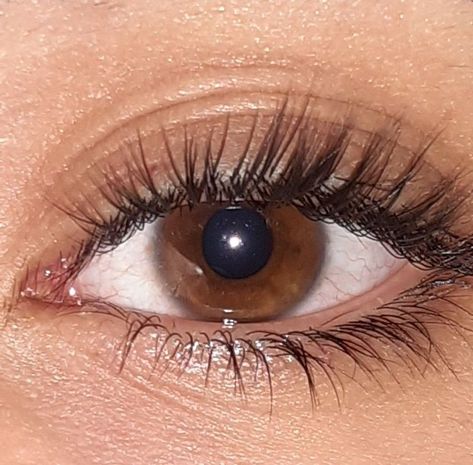 Brown Eyes Aesthetic, Brown Hairstyles, Beauty Video Ideas, Hair Color Brown, Eye Pictures, Crazy Girl Quotes, Aesthetic Eyes, Longer Eyelashes, Crazy Girls