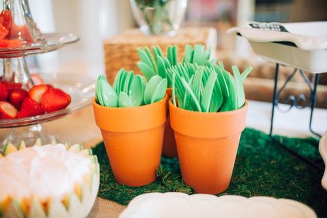 Utensils placed in terra cotta pots from a Beatrix Potter's Peter Rabbit Inspired Birthday Party on Kara's Paty Ideas | KarasPartyIdeas.com (16) Decorating For A Fiesta Party, Taco Birthday Cake Ideas, Plant Birthday Party Ideas, Llama Cactus Birthday Party, Bunny Rabbit Birthday Party, Cactus Themed Birthday Party, Baby Fiesta Party, Peter Rabbit Birthday Party Ideas, Cactus Birthday Party Ideas