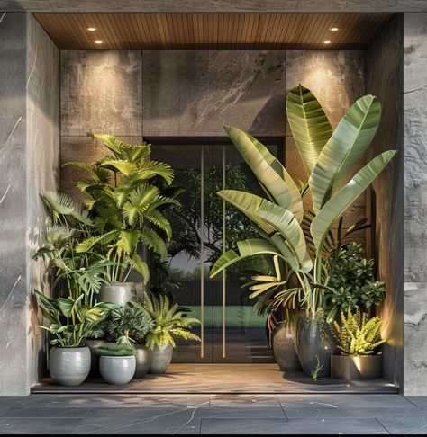 Courtyard Flooring, Plant Grouping, Tree In The House, Wabi Sabi House, Entryway Designs, Tropical Garden Design, Contemporary Living Room Design, Mini Spa, Outdoor Patio Space