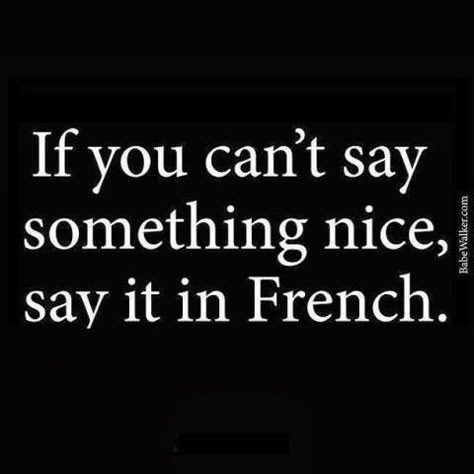 Very often, when people get angry, they swear. They use many vulgar words which they wouldn’t normally use. When you say "excuse my French", what you mean is that you are sorry that you have sprink... Say Something Nice, E Card, Learn French, Say Something, A Quote, The Words, Great Quotes, Beautiful Words, Inspirational Words