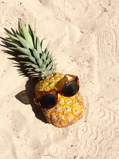 Pineapple life. <3 Sara Core, Pineapple Photography, Pineapple With Sunglasses, Pineapple Core, Eco Food, Filler Photos, Pineapple Images, Instagram Template Design, Product Shoot