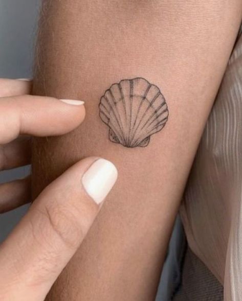 Shell Tattoos For Women, Small Seashell Tattoo, Shell Tattoo, Seashell Tattoos, Minimalistic Tattoo, Shell Tattoos, Petit Tattoo, Tasteful Tattoos, Bff Tattoos