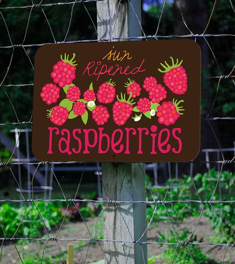 Vegetable Signs, Farmstand Recipes, Stand Signage, Farm Signage, Companion Garden, Garden Signs Diy, Raspberry Trellis, Halloween Car Decorations, Raspberry Cottage