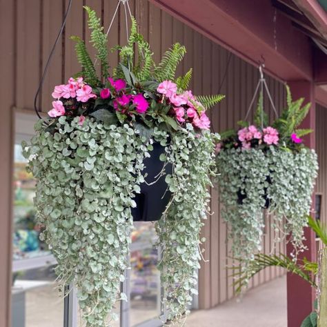 Hanging Flower Pots Outdoor, Balcony Flowers, Window Box Flowers, Balkon Design, Plants For Hanging Baskets, Garden Wallpaper, Flower Pots Outdoor, Garden Containers, Hanging Plant