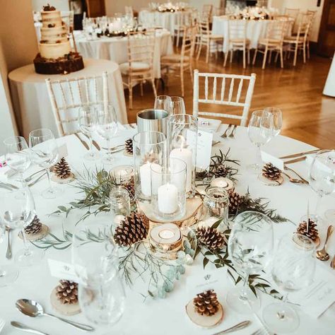 Small Winter Wedding, Pine Cone Wedding, Wedding Ideas On A Budget, Winter Wedding Ideas, Wedding Outfits For Women, Log Slice, January Wedding, Emerald Green Weddings, Wedding Themes Winter