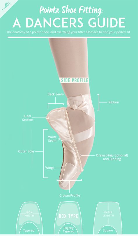 Pointe Shoe Anatomy, Ballet Anatomy, Ballet 101, Pointe Exercises, Photo Danse, Point Shoe, Beginner Ballet, Ribbon Heels, Gaynor Minden