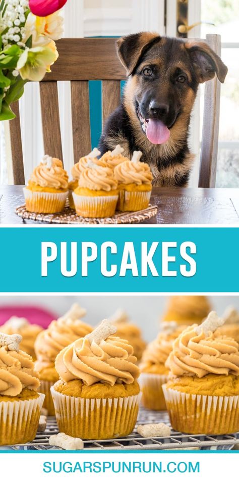 Pumpkin Cupcakes For Dogs, Peanut Butter Dog Cake Recipe, Peanut Butter Cupcakes For Dogs, Cake Pops For Dogs Recipe, Dog Friendly Cake Frosting, Frosting For Dogs Recipes, Peanut Butter Frosting For Dogs, Cake Frosting For Dogs, Pup Cakes Recipe Easy