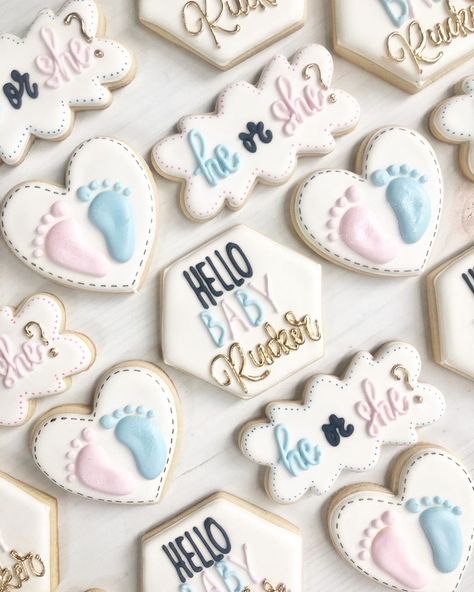 He Or She Cookies Decorated, Gender Reveal Biscuits, Gender Reveal Royal Icing Cookies, He Or She Gender Reveal Cookies, He Or She Cookies, Gender Reveal Cookies Decorated, Gender Reveal Sugar Cookies, Gender Reveal Cookies, Twinkle Twinkle Baby Shower