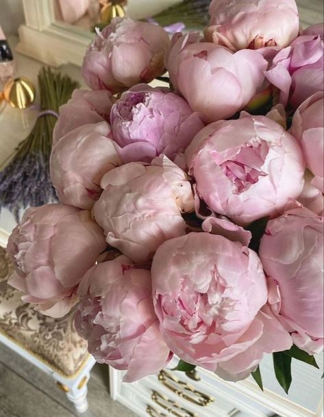 Pioni Flowers Bouquet, Magic Runes, Iconic Outfits, Peonies And Hydrangeas, Boquette Flowers, Nothing But Flowers, Peonies Bouquet, Flower Therapy, Beautiful Bouquet Of Flowers