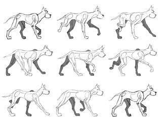 Quadruped Walk Cycle Tutorial Walk Cycle Reference, Animation Walk Cycle, How To Draw Stairs, Dogs Walking, Walking Animation, Principles Of Animation, Walk Cycle, Animation Ideas, Dog Animation