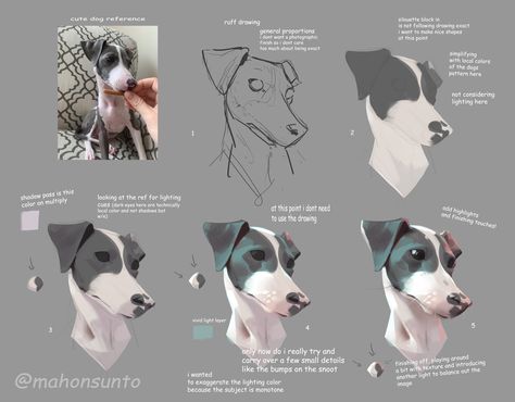 Painting Fur, Digital Painting Techniques, Dachshund Art, Shading Techniques, Coloring Tutorial, Digital Painting Tutorials, Learn Art, Animal Sketches, Process Art