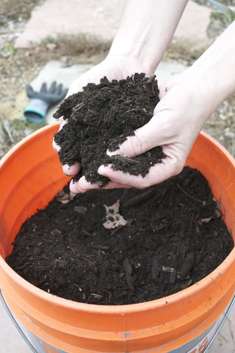 Backyard Compost, Compost System, Simple Backyard, How To Make Compost, Urban Gardens, Garden Compost, Gardening 101, Healthy Garden, Free Plants