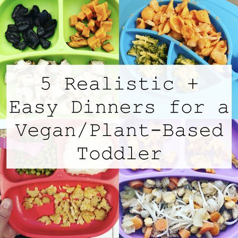 5 Realistic & Easy Dinners for a Vegan/Plant-Based Toddler | The Friendly Fig Plant Based Toddler Meals, Baby Dinner, Picky Toddler Meals, Toddler Dinner, Picky Toddler, Vegan Kids, Toddler Lunches, Recipes For Beginners, Vegan Dinner Recipes