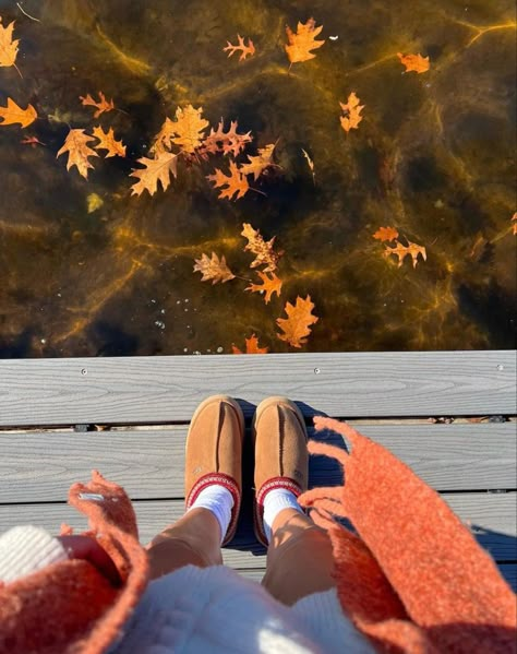 Nostalgic Fall, Fall Moodboard, Fall Mood Board, Fall Mood, Season Of The Witch, Fall Feels, Fall Time, Fall Inspo, I Love Fall