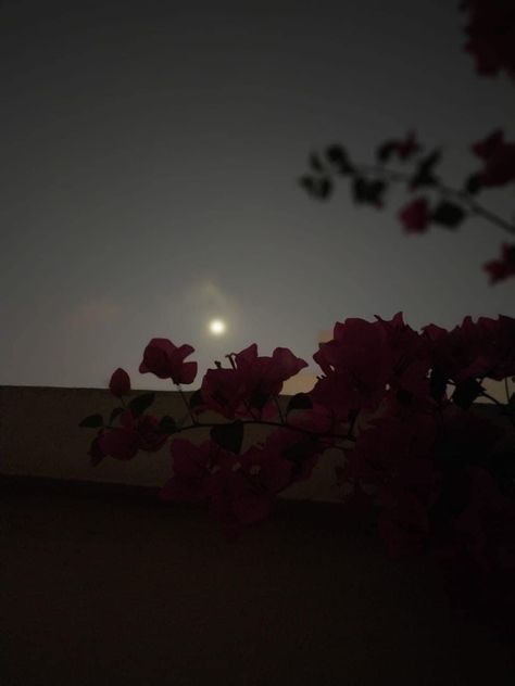 Night Terrace, Love Night, Dark Skies, Iphone Photography, Full Moon, Enchanted, Terrace, Moon, Quick Saves