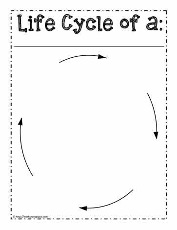 Blank Life Cycle Template, Life Cycle Of Animals, Number Patterns Worksheets, Life Cycle Worksheet, Plant Life Cycle Worksheet, Human Life Cycle, Insect Life Cycle, Fraction Word Problems, Animal Life Cycles