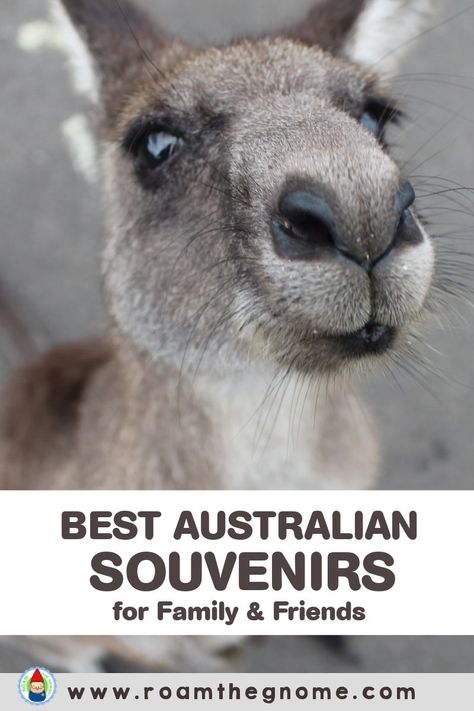 Looking for unique ideas for travel souvenirs for family and friends from Australia? Read this guide to find all the details you need! Shopping tips for Sydney, Brisbane, Melbourne and more too Sydney Shopping, Australia Souvenirs, Aussie Aesthetic, Australian Boots, Australia Shopping, Polar Express Train Ride, Australia Travel Bucket Lists, Bucket List Family, Australian Gifts