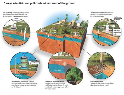 Five ways scientists can make soil less dirty | Argonne National Laboratory Soil Remediation, Arch Presentation, Events Management, Environmental Research, Urban Landscape Design, Environmental Engineering, Creative Visualization, Environmental Education, Soil Health