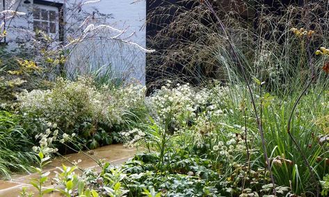 Garden Tour: Crab Apple Trees Flank a Stylish Courtyard Garden Courtyard Plants, Crabapple Tree, Gate House, Native Garden, Crab Apple, Woodland Garden, Garden Tours, Garden Pests, Nature Garden