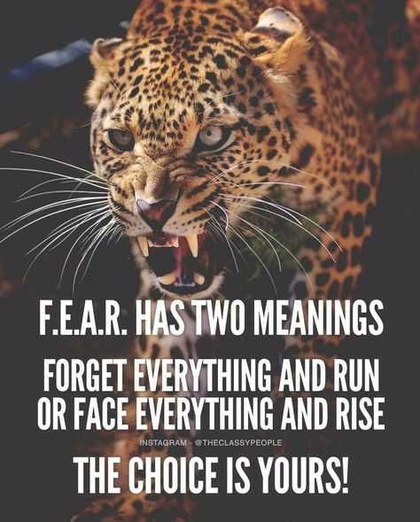 Fear Has Two Meanings, Fearless Quotes, Face Everything And Rise, Lion Quotes, Millionaire Quotes, Can't Stop Won't Stop, Warrior Quotes, Positive Quotes Motivation, Badass Quotes