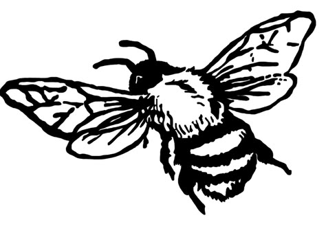 Tiny Bee Tattoo, Tattoo Finder, Tattoo Fillers, Small Bee Tattoo, Illusion Tattoos, Optical Illusion Tattoos, Optical Illusion Tattoo, Silhouette Sketch, Tattoo Filler