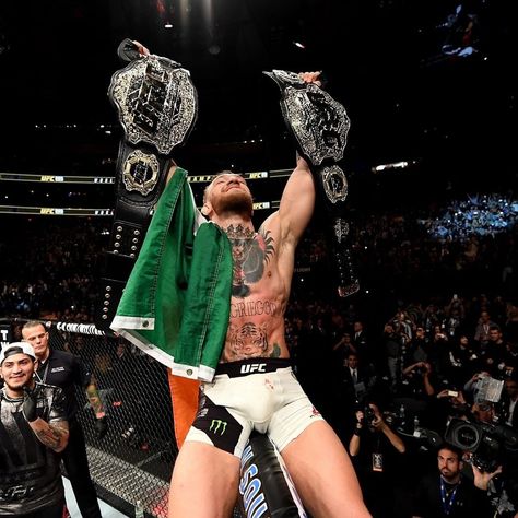 Conor Mcgregor Double Champ, Ufc Champions, Conor Mcgregor Wallpaper, Dee Devlin, Notorious Mcgregor, Ufc Conor Mcgregor, Barcelona Coach, Connor Mcgregor, Funny Flags